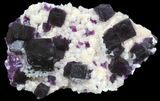 Dark Purple Cubic Fluorite on Quartz - Exceptional! #39003-1